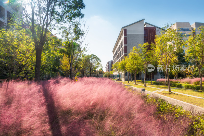 中国地质大学（武汉）未来城校区风光