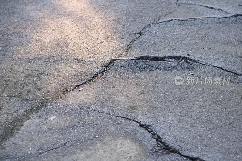 柏油路被树根损坏