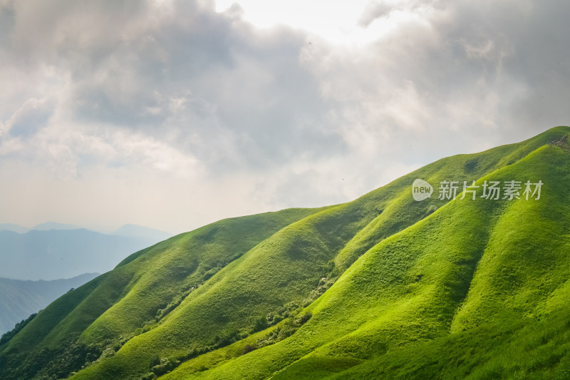 夏天江西武功山的高山草甸