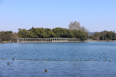 中国杭州西湖花港观鱼碧空映衬下的湖景