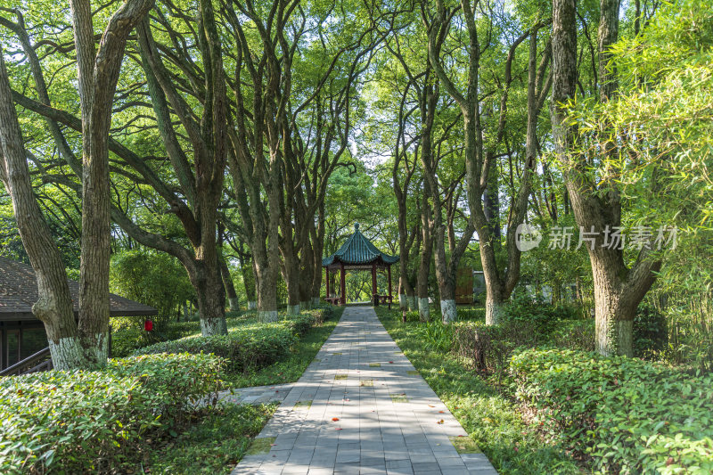 武汉东湖湖北书画院风景