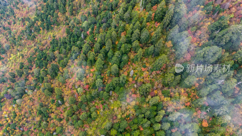 阿坝州黄龙风景名胜区秋色