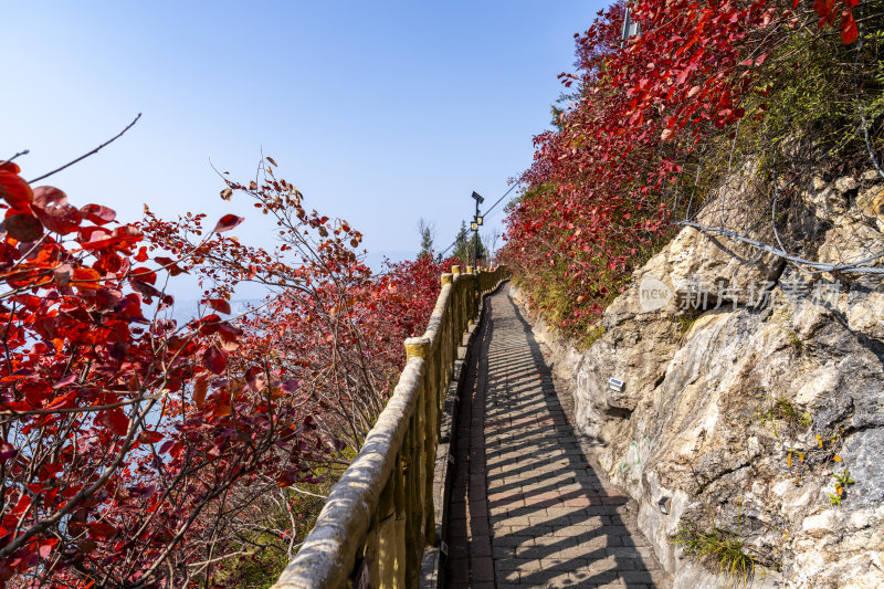 重庆巫山秋日红叶栈道