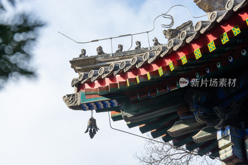 北京万寿寺的屋脊角兽-DSC_6945