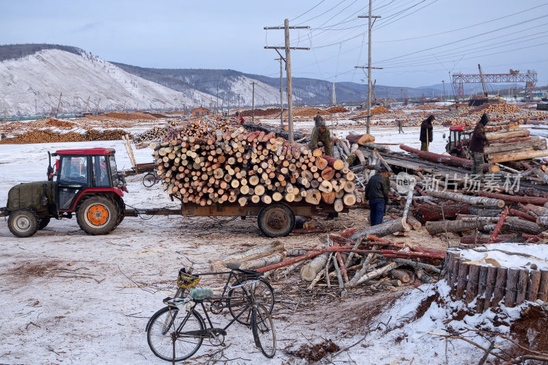 大兴安岭贮木场用拖拉机运输木材