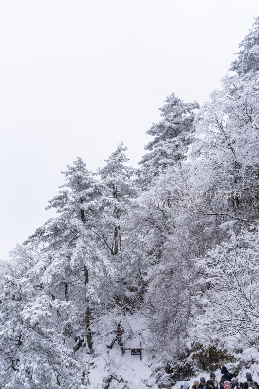 老君山下雪大山森林雾凇景观