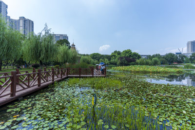 武汉关山荷兰风情园风景