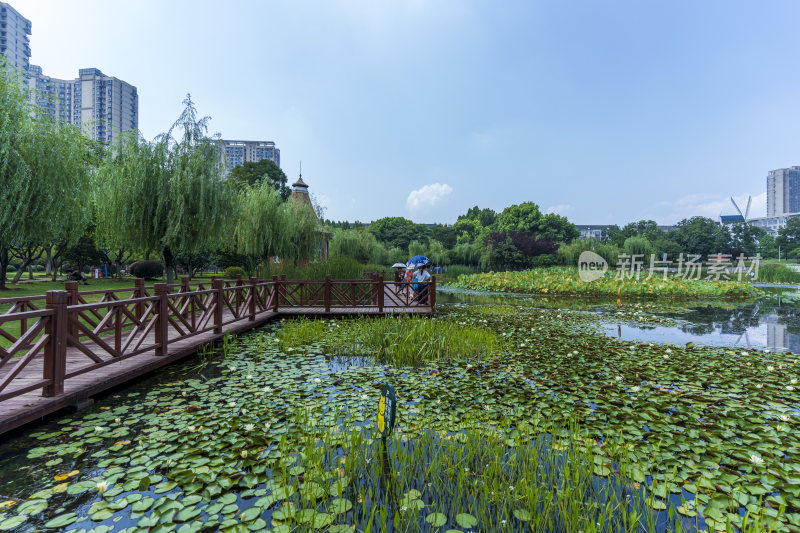 武汉关山荷兰风情园风景