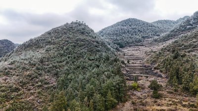 重庆酉阳：冻雨.冰雪.雾