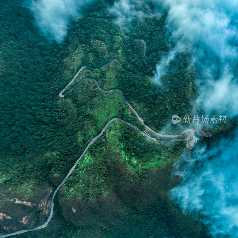 金平大山中的公路