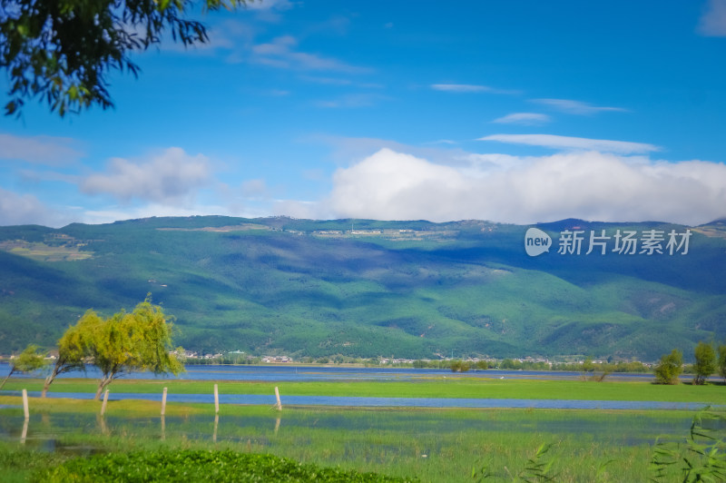 丽江拉市海湿地蓝天白云青山绿水自然风景