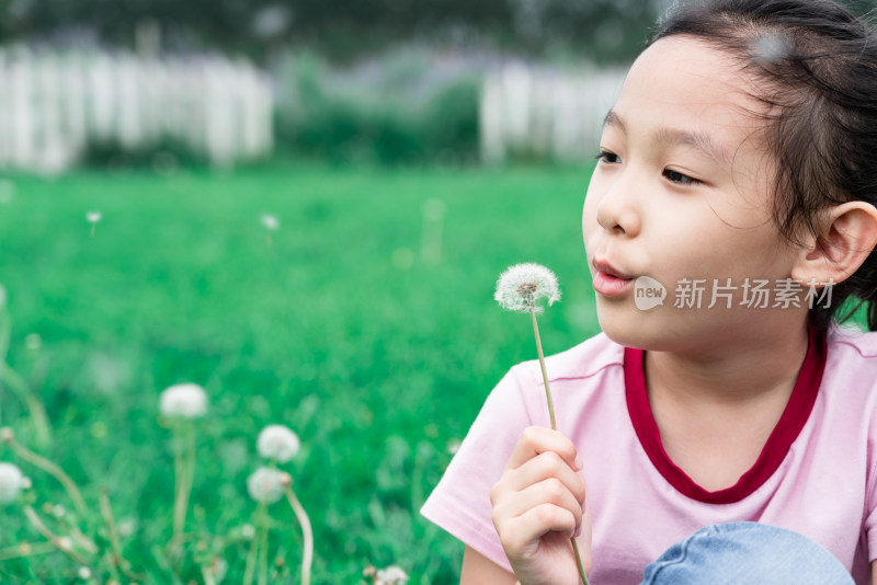 坐在草地上玩蒲公英的中国女孩
