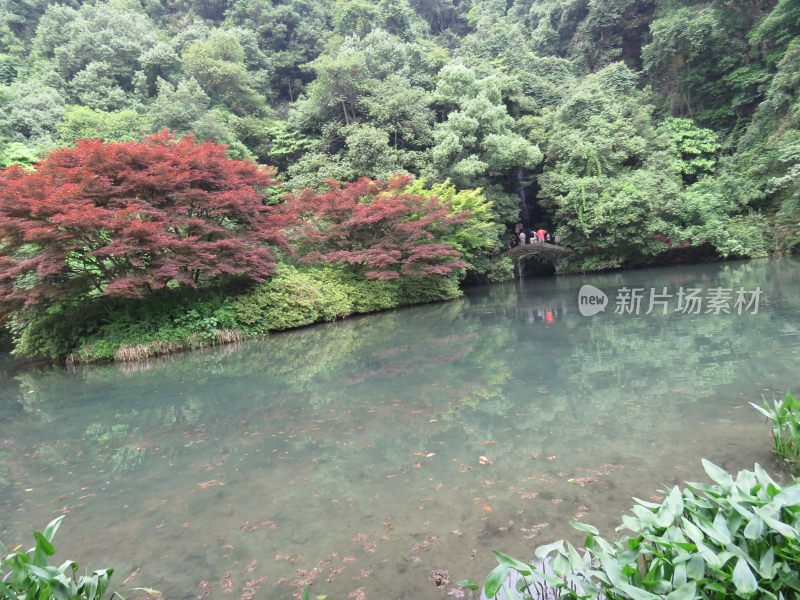 杭州九溪烟树景区