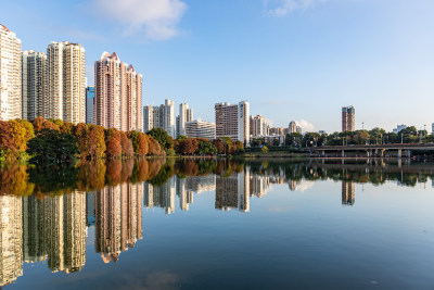 深圳洪湖公园水杉林航拍