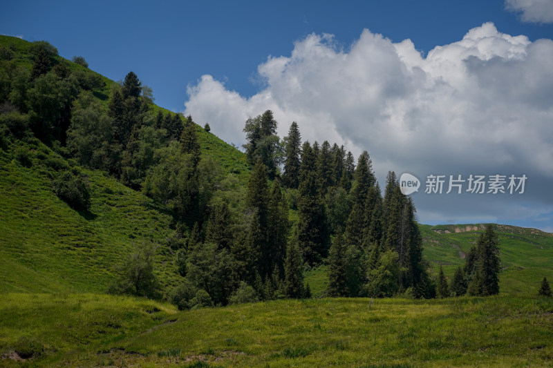 新疆伊犁S315唐布拉百里画廊风景