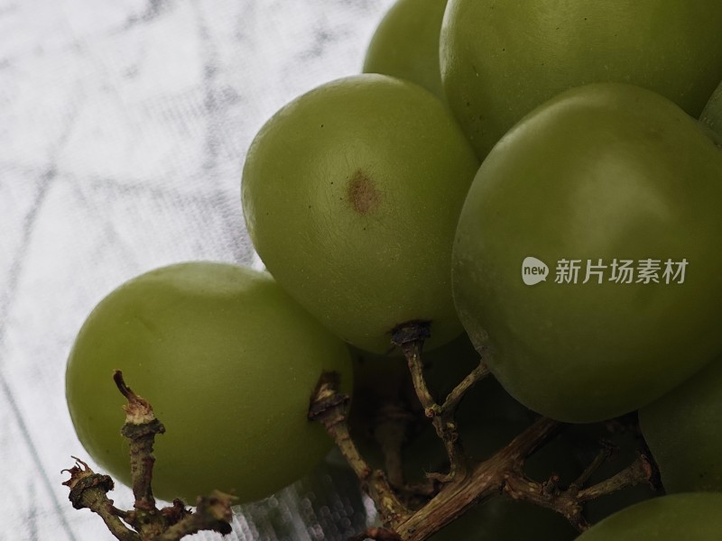 青葡萄特写果实饱满呈现新鲜状态