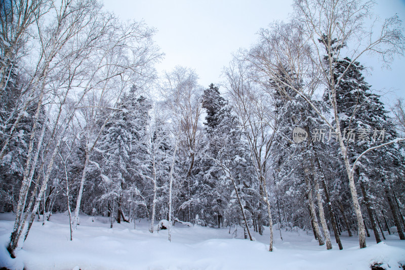 黑龙江 双峰林场 雪乡