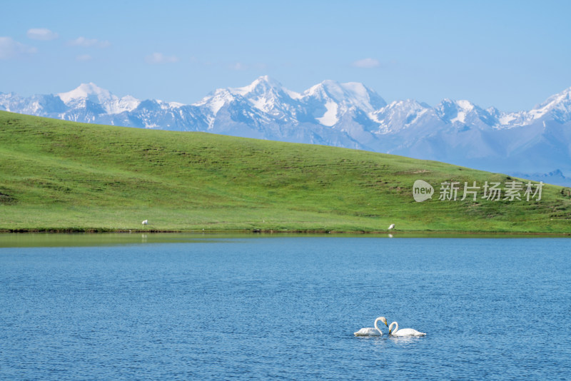 中国新疆伊犁巴音布鲁克草原风景