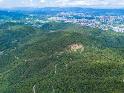 祖国大好河山绿色森林植物航拍图