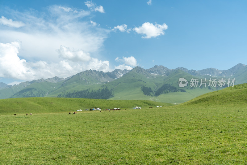 新疆伊犁那拉提景区