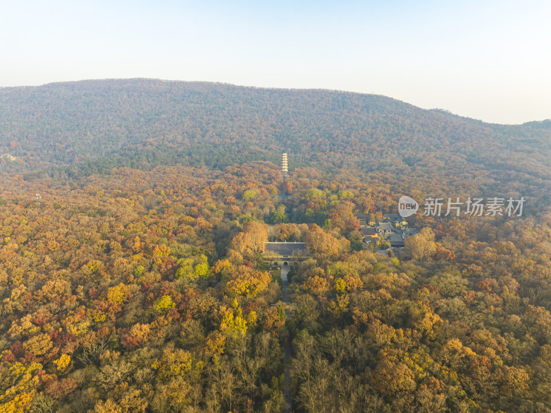 航拍秋季南京中山陵风景区灵谷寺