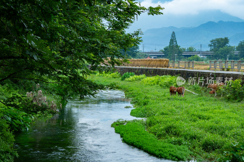 山清水秀依山傍水溪流云海秘境世外桃