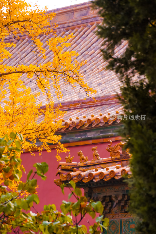 故宫博物院紫禁城东六宫延禧宫风景