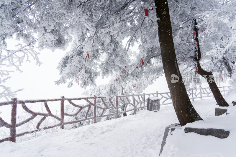 寒冷冬季景区雪后栈道