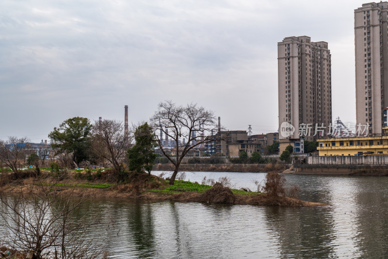 水边有树有楼的城市风景