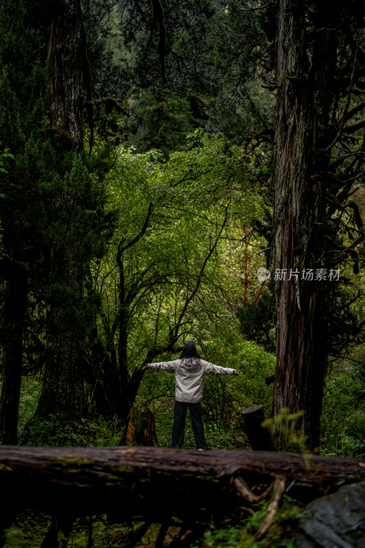 四姑娘雪山旅游的人