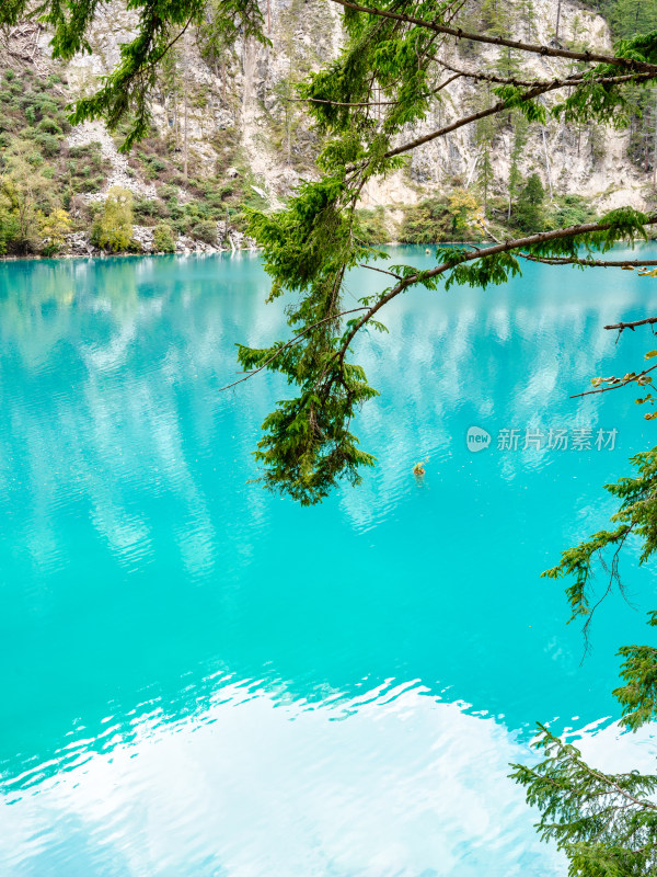 四川阿坝九寨沟秋天的树木和湖泊