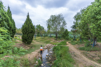 武汉江夏区藏龙岛国家湿地公园风景