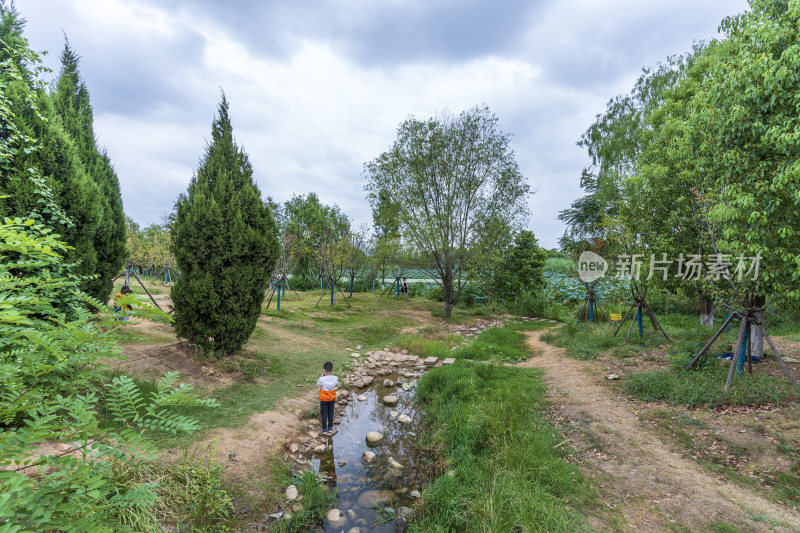 武汉江夏区藏龙岛国家湿地公园风景