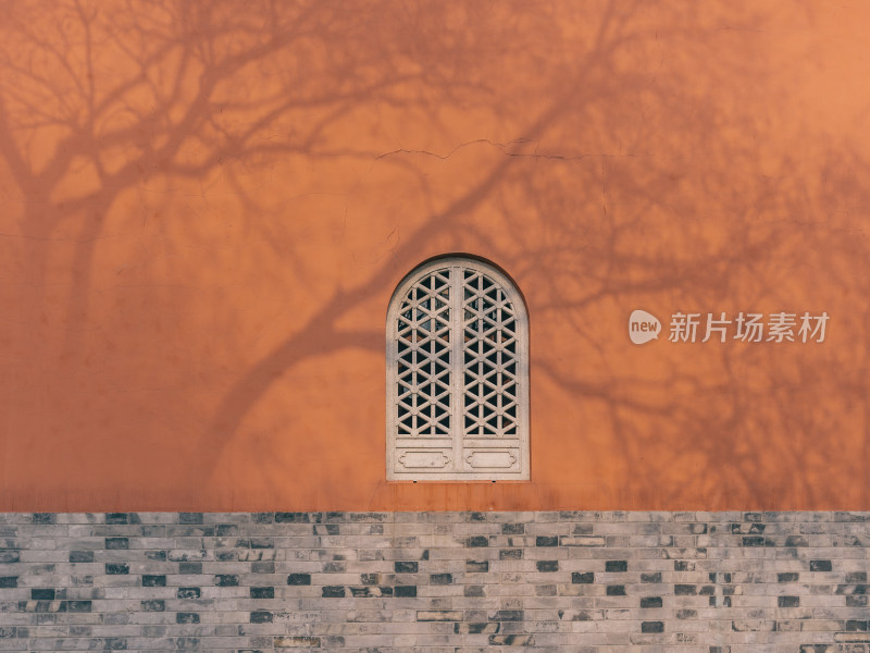 江苏南京鼓楼的红墙与树影