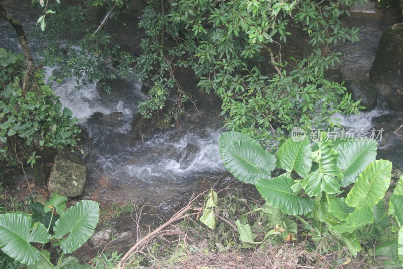 广东东莞：银瓶山溪流流水潺潺