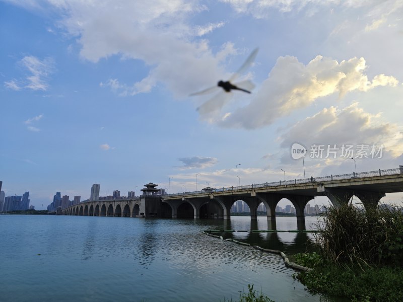 水边有桥的城市风景