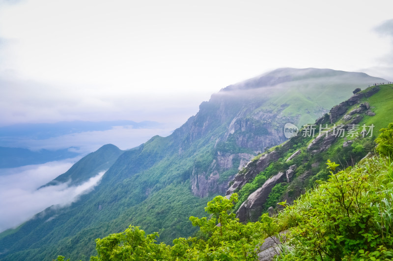 夏天江西武功山的高山草甸