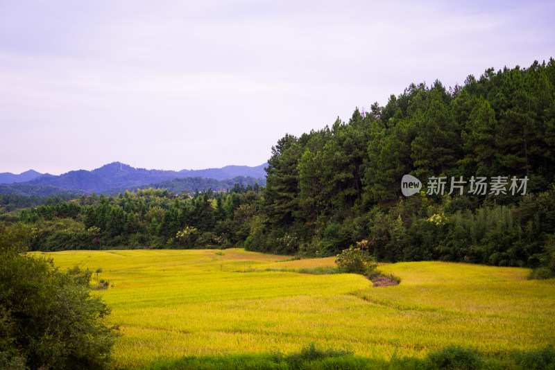 古村落婺源徽派建筑古建筑古遗址