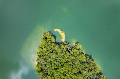 深圳龙华区茜坑水库