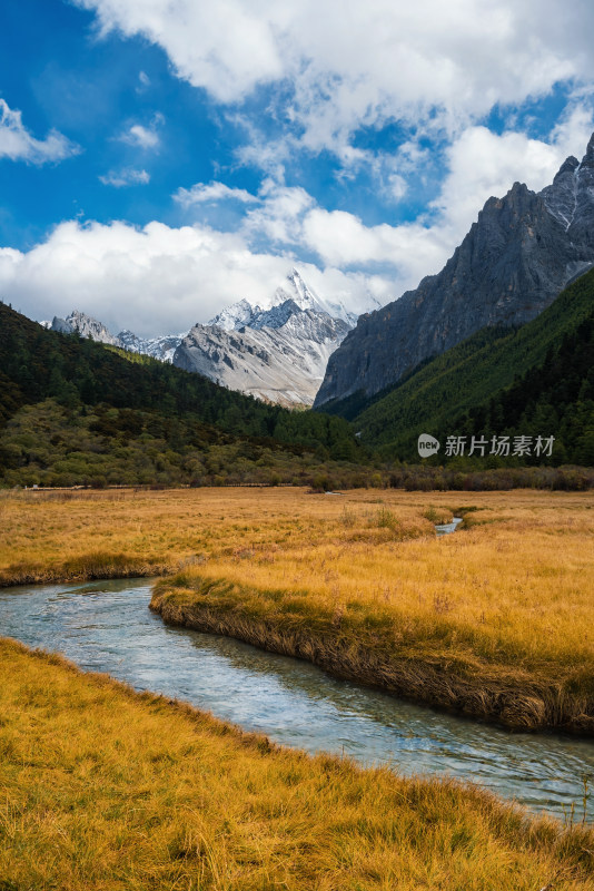 稻城亚丁冲古草甸和央迈勇雪山秋景