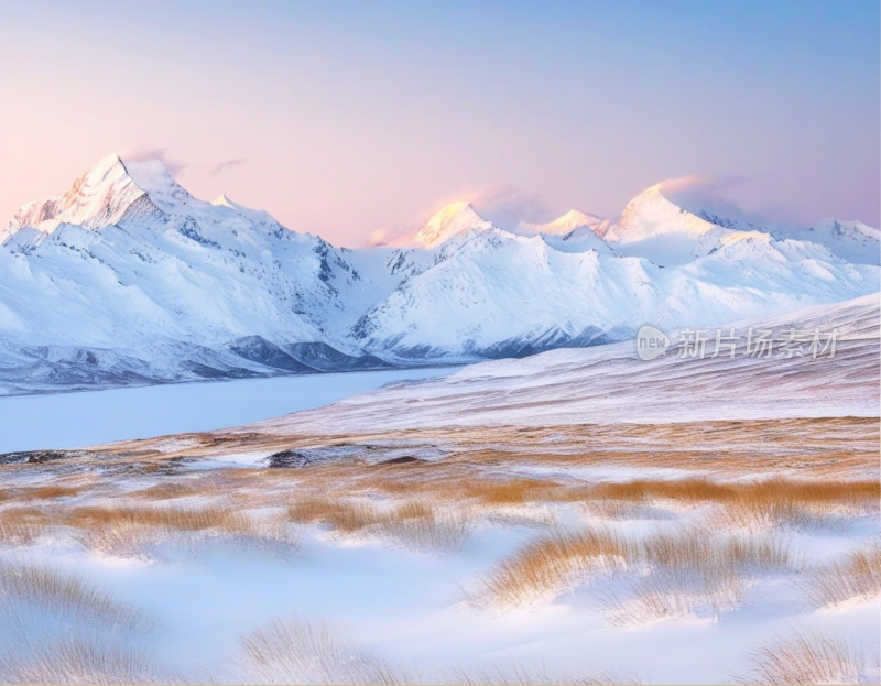 高山雪地