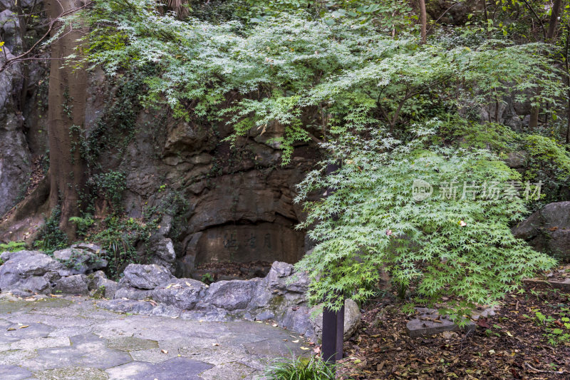 杭州吴山风景区月波池