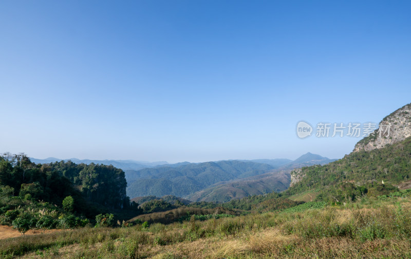 蓝天映衬下的田野景色