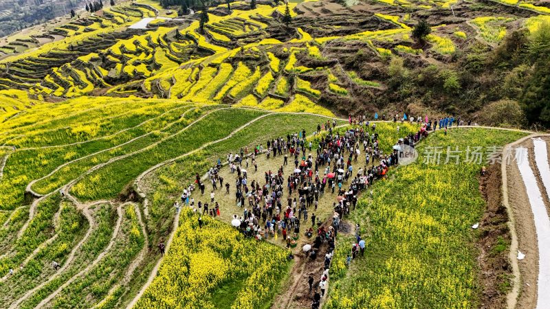 重庆酉阳：三月花海千氹田