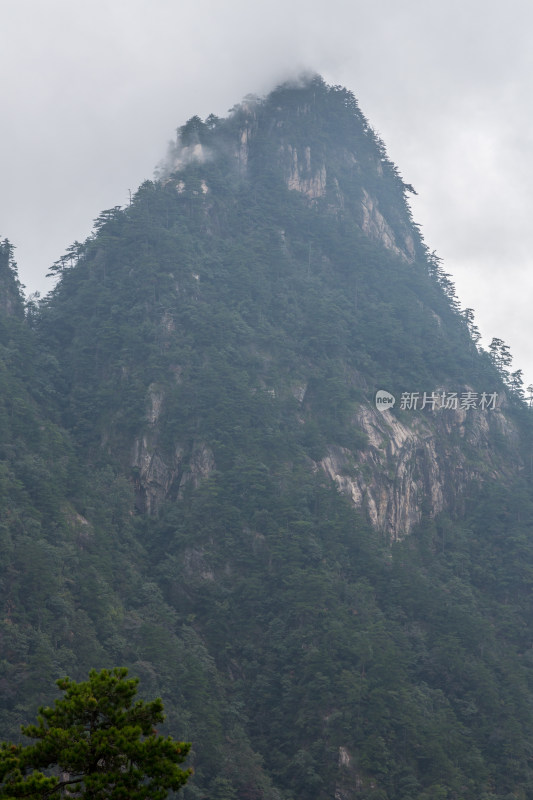 云海中的大明山