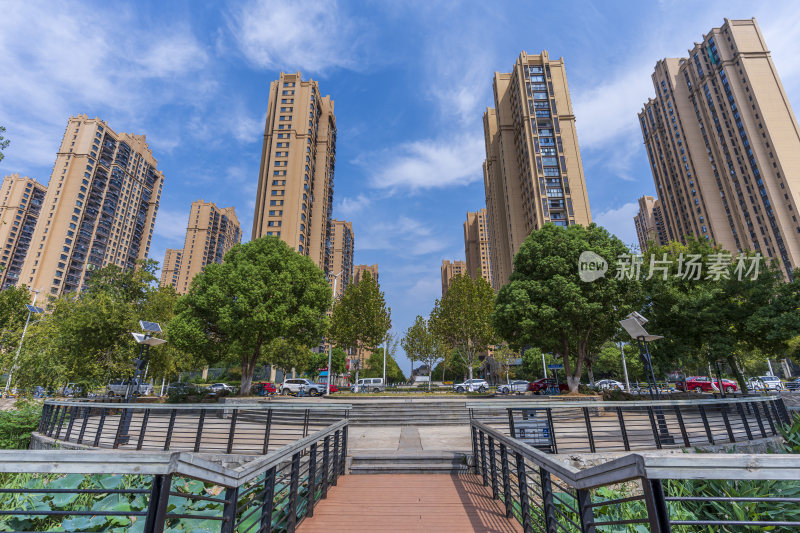 武汉江夏区汤逊湖壹号湿地公园风景