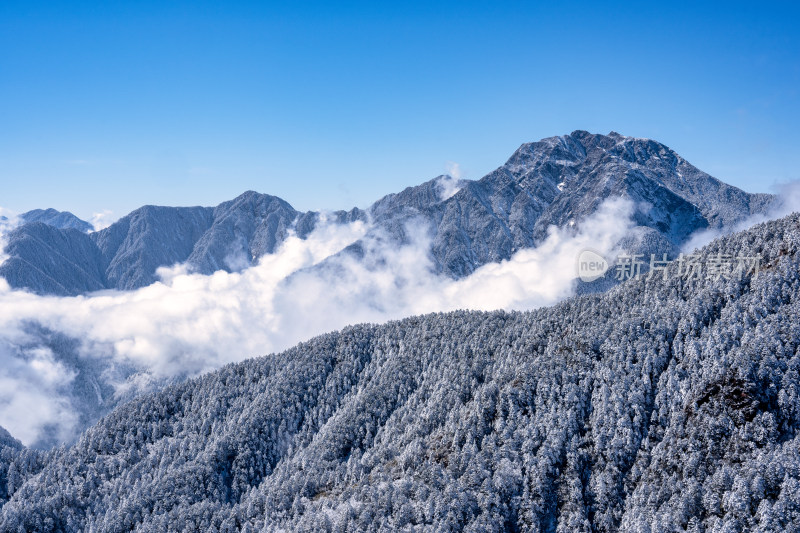 四川成都西岭雪山上空的云海群山航拍