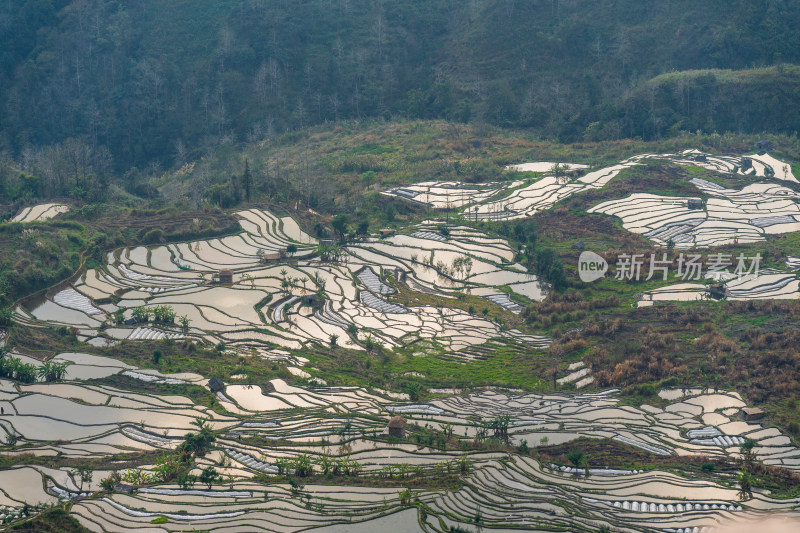 红河州元阳梯田自然风光