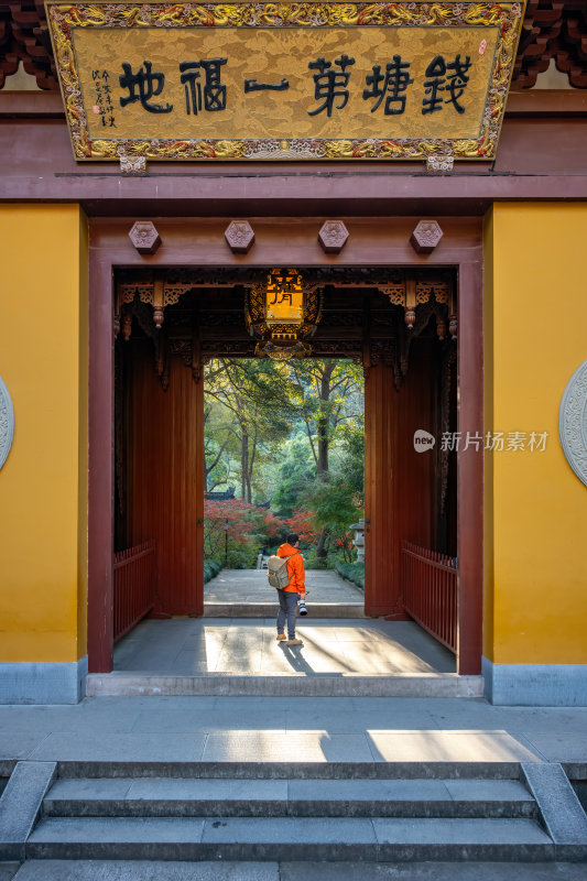 浙江杭州永福禅寺古寺秋景枫树红叶禅意