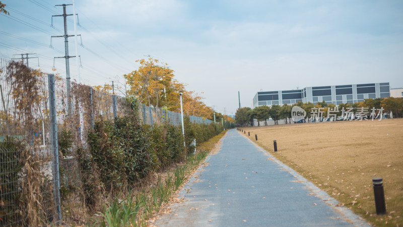 小清新校园场景